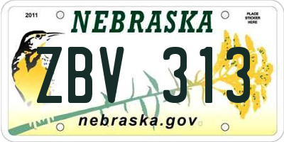 NE license plate ZBV313