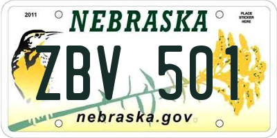 NE license plate ZBV501