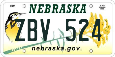 NE license plate ZBV524