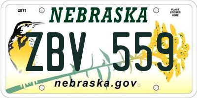 NE license plate ZBV559