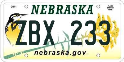 NE license plate ZBX233