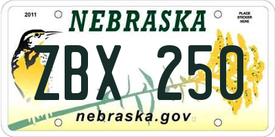 NE license plate ZBX250