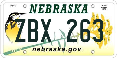 NE license plate ZBX263