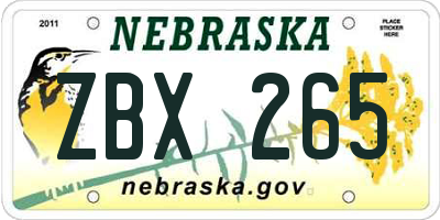 NE license plate ZBX265