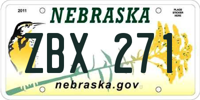 NE license plate ZBX271