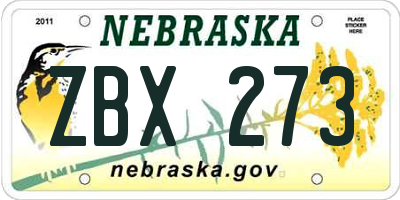 NE license plate ZBX273