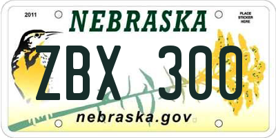 NE license plate ZBX300