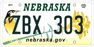 NE license plate ZBX303