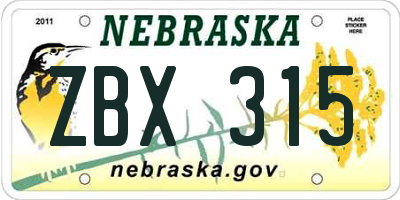 NE license plate ZBX315