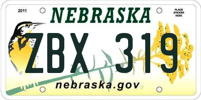 NE license plate ZBX319