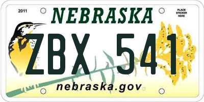 NE license plate ZBX541