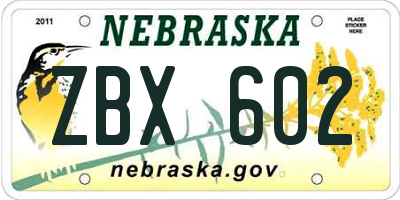 NE license plate ZBX602