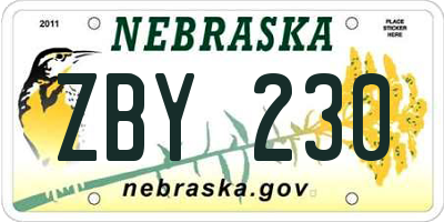 NE license plate ZBY230