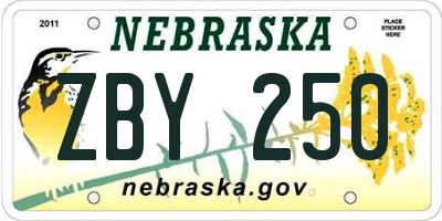 NE license plate ZBY250