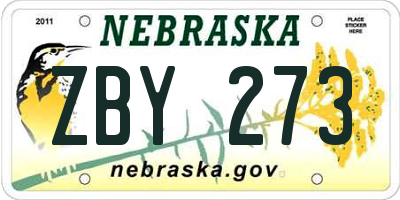 NE license plate ZBY273