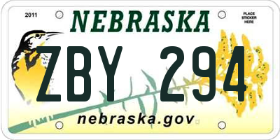 NE license plate ZBY294