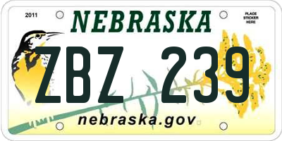 NE license plate ZBZ239