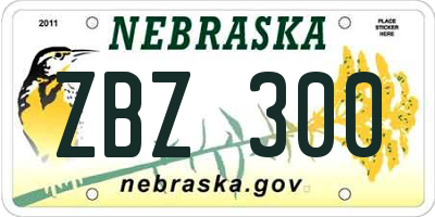 NE license plate ZBZ300