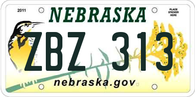 NE license plate ZBZ313