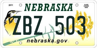 NE license plate ZBZ503