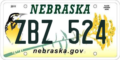 NE license plate ZBZ524