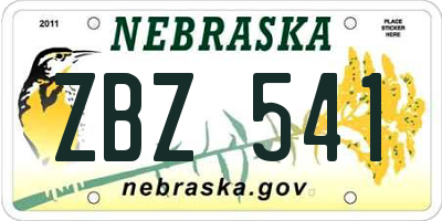 NE license plate ZBZ541