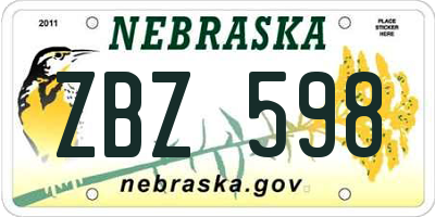 NE license plate ZBZ598