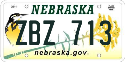 NE license plate ZBZ713