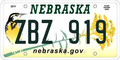NE license plate ZBZ919