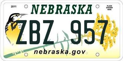 NE license plate ZBZ957