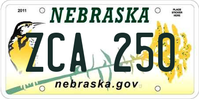 NE license plate ZCA250