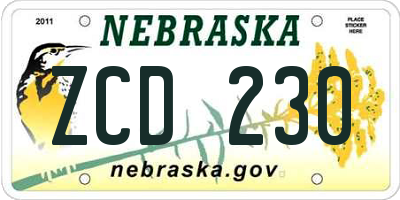 NE license plate ZCD230