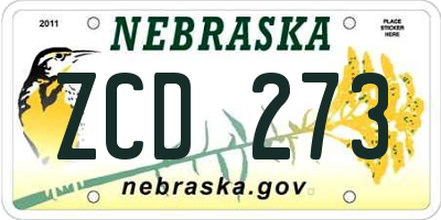 NE license plate ZCD273