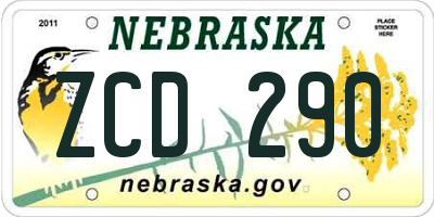 NE license plate ZCD290