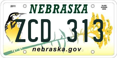 NE license plate ZCD313