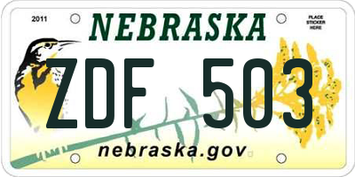 NE license plate ZDF503