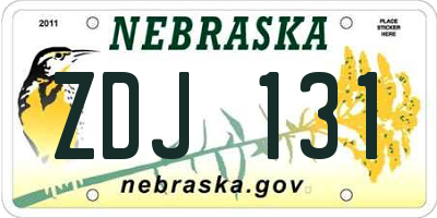 NE license plate ZDJ131