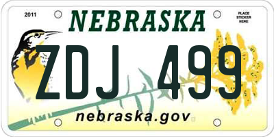 NE license plate ZDJ499