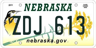 NE license plate ZDJ613