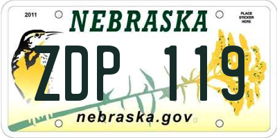 NE license plate ZDP119