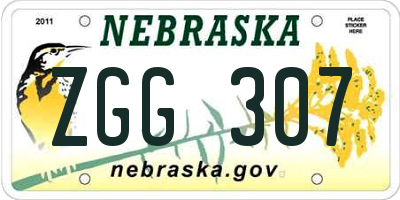 NE license plate ZGG307