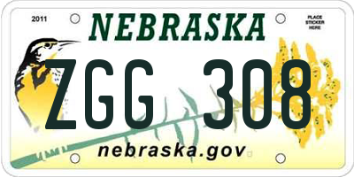 NE license plate ZGG308