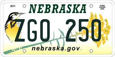 NE license plate ZGO250