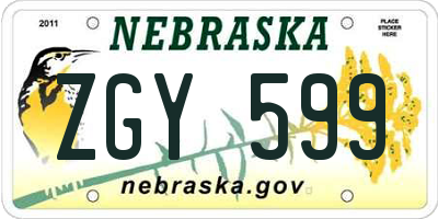 NE license plate ZGY599