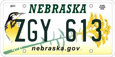 NE license plate ZGY613