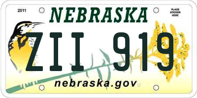 NE license plate ZII919