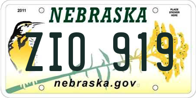 NE license plate ZIO919