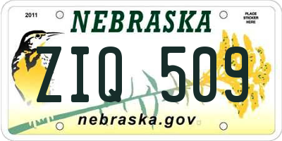 NE license plate ZIQ509