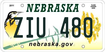 NE license plate ZIU480