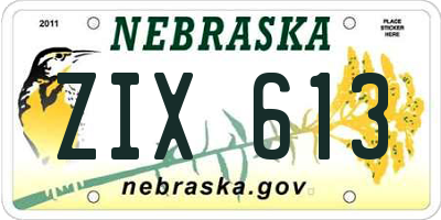 NE license plate ZIX613